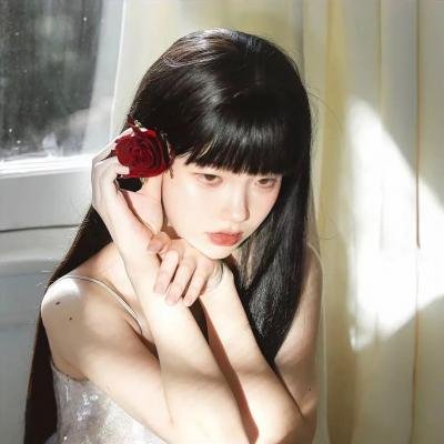 藏獒情未了